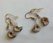 ammonite_earrings.jpg
